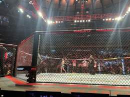 The people LOVE Molly #UFC281