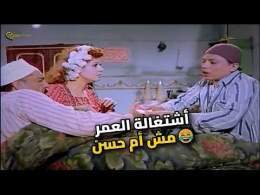 لما تحاول تشتغله ويطلع أصحى منك! \ud83e\udd23 سر شاي أم حسن