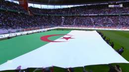 من ارض الكنانة  مرورا بأرض المجد  إلى أرض الشهداء  .. الأفراح شعار محاربي الصحراء  #بطولة_أمم_أفريقيا_للمحليين | #الجزائر_السنغال