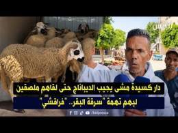 دار كسيدة مشى يجيب الديباناج حتى لقاهم ملصقين ليهم تهمة "سرقة البقر.. "فراقشي"