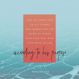&ldquo;And we know that in all things God works for the good of those who love him, who have been called according to his purpose.&rdquo; Romans 8:28 NIV  #insiders #BinancePay #taylor #MIAAdoBetter #기상캐스터  #UT_PSコラボ #น่าฮักจังเล๊ย #BetweenUsTheSerie