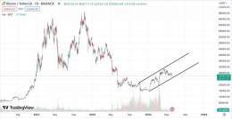 Pictures