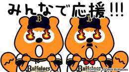 応援しないわけがない！ #バファローズポンタ #WBC2023 #侍ジャパン