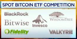 Pictures