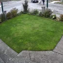 When asking politely for people to stop cutting across his yard didn&rsquo;t work, Thomas began hatching a master plan that no one saw coming.