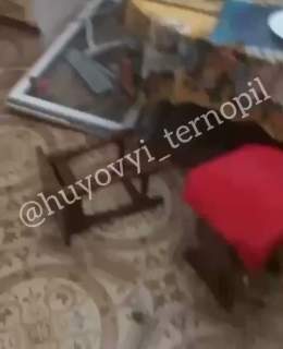 Videos