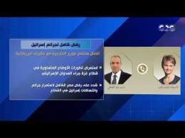 تضمن رفضًا كاملًا لجـ ـرائم إسرائـ ـيل.. تفاصيل الاتصال الهاتفي لوزير الخارجية مع نظيرته البريطانية