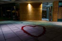 Rose petals lay at the entrance of the Old National Bank in Louisville, Kentucky in remembrance of the five victims killed Monday in a shooting by a former employee.