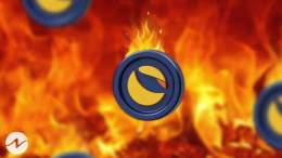 Forget the memes, I want the $LUNC. Keep BUILDING, and keep BURNING!#CryptoCommunity #cryptocurrency #Binance