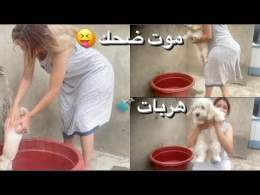 Repost-soukaina.rha.official.tube 02