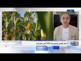 بين الحرب والمناخ.. هل نشهد أزمة غذاء عالمية؟