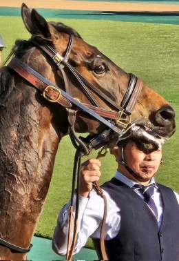 東京11R #ウインキートス #ダイヤモンドS キーちゃん最後のレース 頑張って〜ᶠⁱᴳʰᵀᵎᵎ(,,&bull;&omega;&bull;,,)و\u2691⁎&lowast; ※チャカチャカしいました