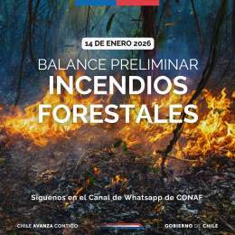 #BALANCE | Hasta las 15:00 horas, 10 incendios forestales que están en combate por equipos de CONAF y de emergencias de otras instituciones. Les compartimos información de los que se encuentran con alerta roja: Región del Biobío: - Incendio Tranicura