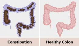 Colon cleansing is the most powerful yet ignored health intervention.  It fixes chronic fatigue, skin problems, and weak immunity.  I've tested this myself, and it does wonders.  Here's how to perform a colon cleanse the right way: