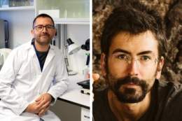 El CSIC consigue dos proyectos  ERC Consolidator Grant El @icmabCSIC empleará una técnica innovadora para mapear procesos tumorales Desde el @ipnacsic  crearán un modelo de gobernanza multiespecie centrada en las relaciones entre humanos y gatos