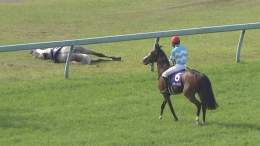 2022年12月3日(土)中山競馬場 芝3600 #ステイヤーズステークス 内回りコースを2周 中山の急逆上がりが3度ある 国内平地競争最長距離レース  その舞台で天皇賞春以来 \u2606冷ややかな目線を送る者 \u2606寝っ転がって芝を食う者 この2頭がぶつかります  #メロディーレーン #シルヴァーソニック