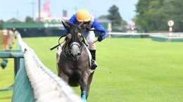 コールドムーンステークス制覇の リフレイムさん ・パドックで寝ようとする ・パドックはいつも最後尾 ・返し馬で外ラチに目線でファンサ ・外に寄れても強い ・芝＆砂のＯＰを制覇 ・獲得賞金1億超え かわいくて強いんですよね