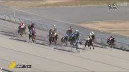 コールドムーンステークス #リフレイム 外へ外へ寄りながらも 3～4馬身の圧勝でした 野中騎手が中京初勝利 リフレイムはダート4戦目で初勝利 現役きっての個性派だそうですよ  これは、ダートグレード競争でも 良い走りが見れそうですね\u266a どれだけ外を走ってるかは 4枚目の画像を参照ください