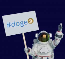 I&rsquo;m a #doge on a mission! @elonmusk   Hashflag for #doge #dogecoin