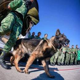 Proteo flew from Mexico to help  rescue Turkish earthquake victims and worked tirelessly for days. Sadly he lost his life today after being trapped under a falling building.  Rest in Peace beautiful boy  #TurkishEarthquake