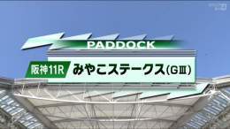 #みやこステークス パドックです  #オメガパフューム #メイショウフウジン ※ #ブリッツファング　※ ※ホッコータルマエ産駒  オメガさん、また白くなったような 頼みましたよ、、、