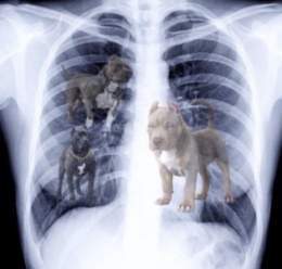 MAX DUGGAN'S X-RAYS JUST DROPPED: