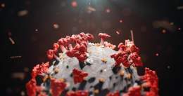 Новый штамм коронавируса &laquo;Цербер&raquo; может стать причиной третьей волны заболеваемости в Европе  Директор Научно-клинического центра прецизионной и регенеративной медицины Института фундаментальной медицины и биологии КФУ Альберт Ризванов ра