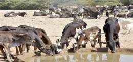 a much-needed break.  #SDGs