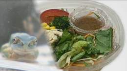スーパーで買った「サラダ麺」にまさかの&ldquo;カエル&rdquo;混入 なぜ？食べている最中に気づき&hellip;保健所が工場に立ち入り検査　 #FNNプライムオンライン #イット