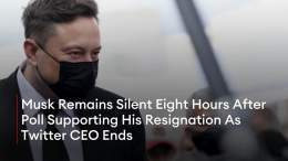 Elon Musk has yet to address the results of his poll in which millions of Twitter users said they want the billionaire to resign as Twitter CEO, in what could be a bizarre but fitting end to the billionaire&rsquo;s two-month tenure at the helm of the