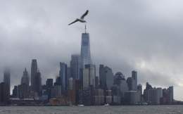 Pictures