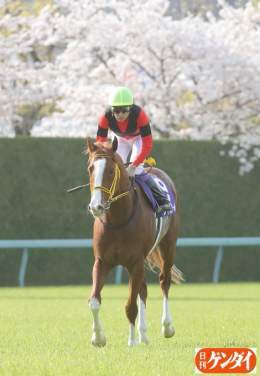 〝サクラサク〟初戴冠に──。 ジャックドールと武豊騎手を。 #大阪杯  #ジャックドール #武豊