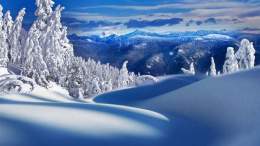 Какой праздник отмечает церковь 24 февраля: что строго нельзя делать в этот день, а у к... #праздники #история #традиции