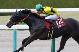 フィリーズレビューの勝者は、 吉田隼人騎手騎乗のシングザットソング！ 今年もドゥラメンテ産駒がクラシックを席巻するのでしょうか 関係者の皆様おめでとうございます #シングザットソング #吉田隼人 #フィリーズレビュー