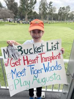 Pictures
