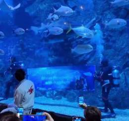 he was so happy when he read it  &ldquo;Ocean Mewmories with Mewlions&rdquo;   SEA LIFE BANGKOK X MSS #SeaLifeBKKxMEW