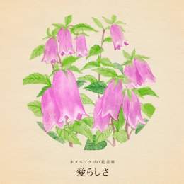 きょう11月26日は ペンの日 いい付録の日 いい風呂の日 いいチームの日 いいプルーンの日  誕生花はホタルブクロ 花言葉は「愛らしさ」