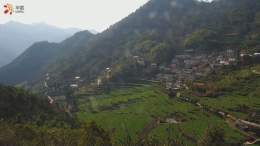 Pictures