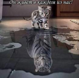 Новый год по китайскому календарю наступил 1 февраля 2022 года в 05:03&nbsp;по пекинскому времени, а закончится&nbsp;21 января 2023-го.&nbsp;  В Китае будут встречать не 2022, а&nbsp;4720&nbsp;год.