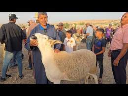 أشرف بغا يعتازل و يمشي طاليان و الخال مقنعاتوش 500 درهم رباح هاذ شي و اكتر من سوق حد البروج