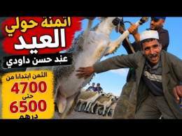 هذا هو الثمن الحقيقي ديال حولي العيد من عند حسن الداودي