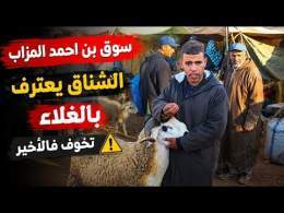 ثمن حولي العيد من سوق اتنين بن احمد المزاب إقليم سطات بتاريخ 18/05/2026