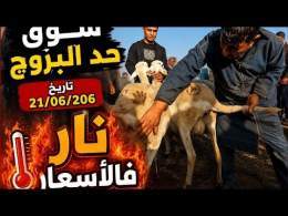 اليوم من سوق حد البروج بني مسكين اقليم سطات بتاريخ (21/06/2026)