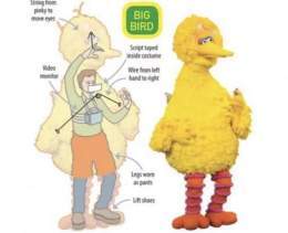 How to Operate the Big Bird Costume  Big Bird is an 8-foot 2-inch (249 cm) anthropomorphic canary that was operated by Carroll Spinney (swipe left) from 1969 to 2018. As Spinney got older, Big Bird appeared less frequently on the show, and when he di