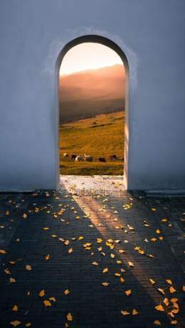 "Avoiding failure is to avoid progress." &mdash; Unknown   #photos #photography   #HEAVEN #MiracKandili #AIコスプレイヤー #スカネク #Kawhi