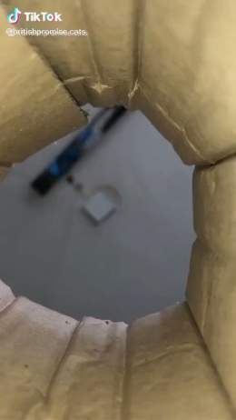 Videos