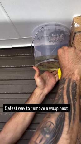 Perhaps the safest way to remove a wasps nest