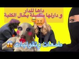 طمعات فلفلوس وداها لدار دارلها سلسلة بحال الكلبة ووكلها ماكلة الكلاب \ud83d\udc29