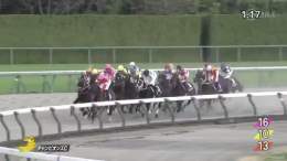 【2022年 チャンピオンズカップ 優勝馬】 #ジュンライトボルト 父：キングカメハメハ　母：スペシャルグルーヴ 25戦7勝 主な勝鞍：2022年シリウスステークス ≪音声協力：ラジオNIKKEI≫ #JRA #JRAFUN #チャンピオンズカップ  #石川裕紀人