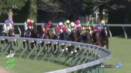 【2022年 阪神ジュベナイルフィリーズ 優勝馬】 #リバティアイランド 父：ドゥラメンテ　母：ヤンキーローズ 3戦2勝 ≪音声協力：ラジオNIKKEI≫ #JRA #JRAFUN #阪神ジュベナイルフィリーズ #川田将雅